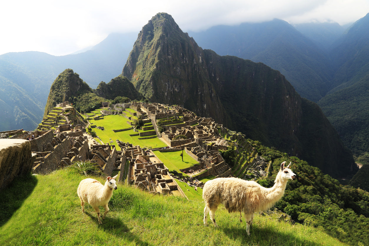 Peru Coffee - Best Seller