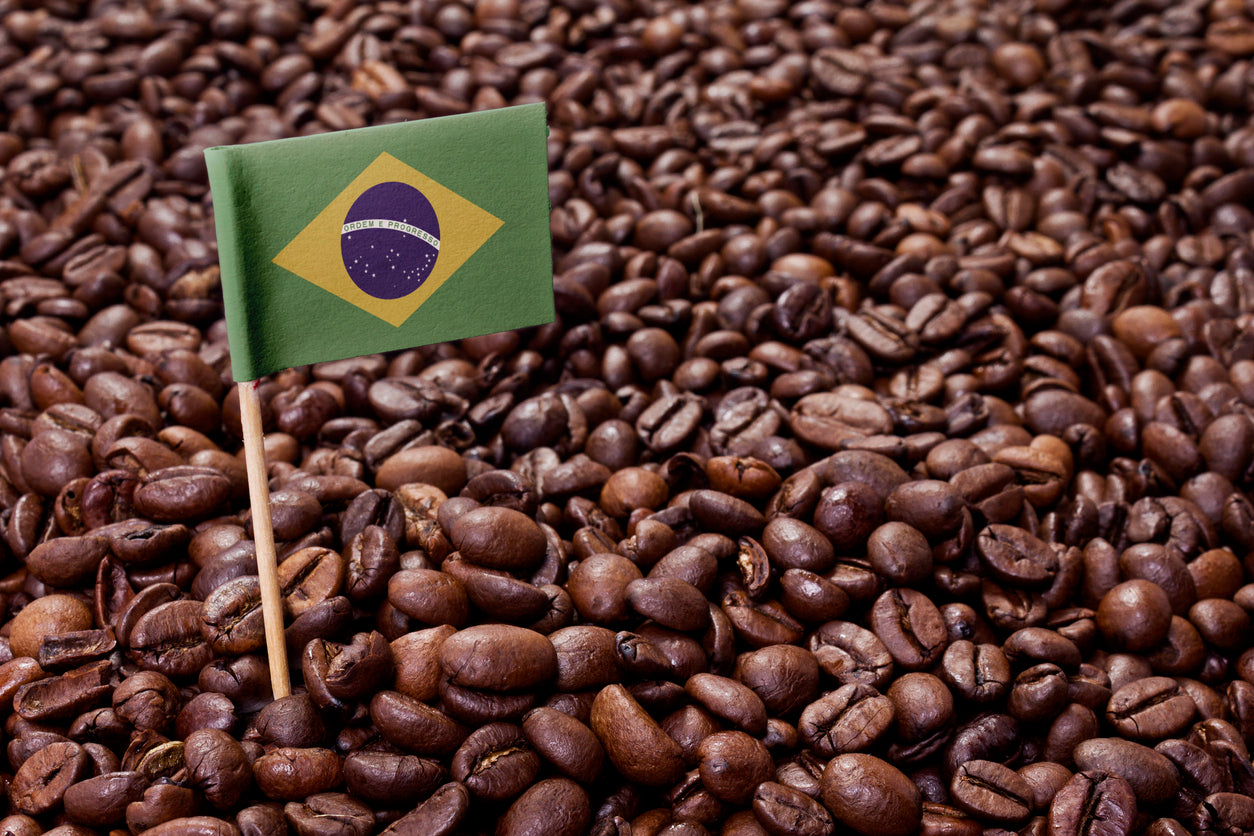 Brazil Coffee