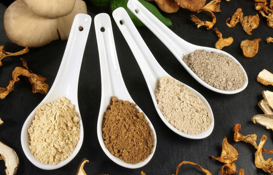 Coffee with Mushrooms (Lion's Mane, Cordyceps, Reishi) - Medium