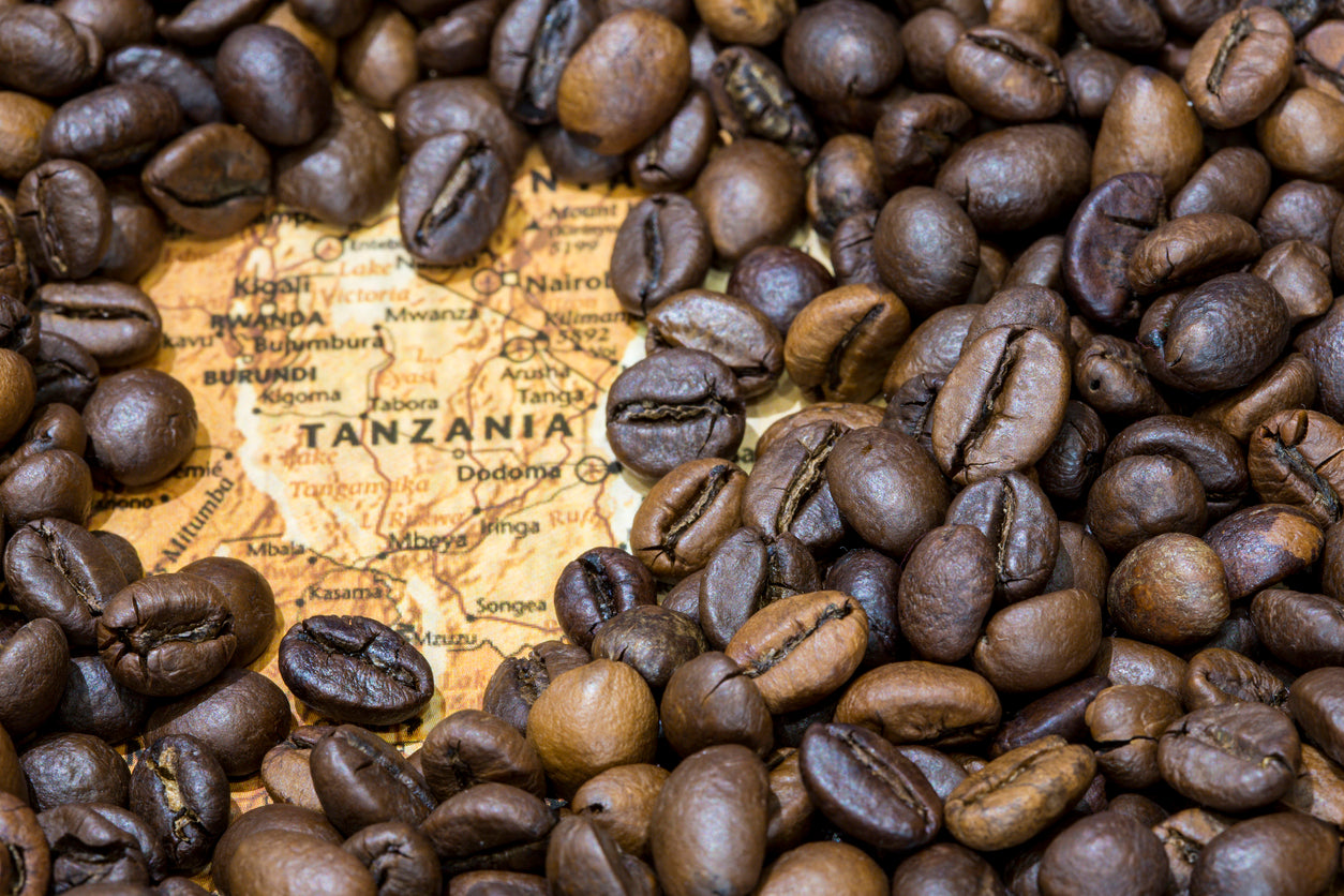 Tanzania Coffee